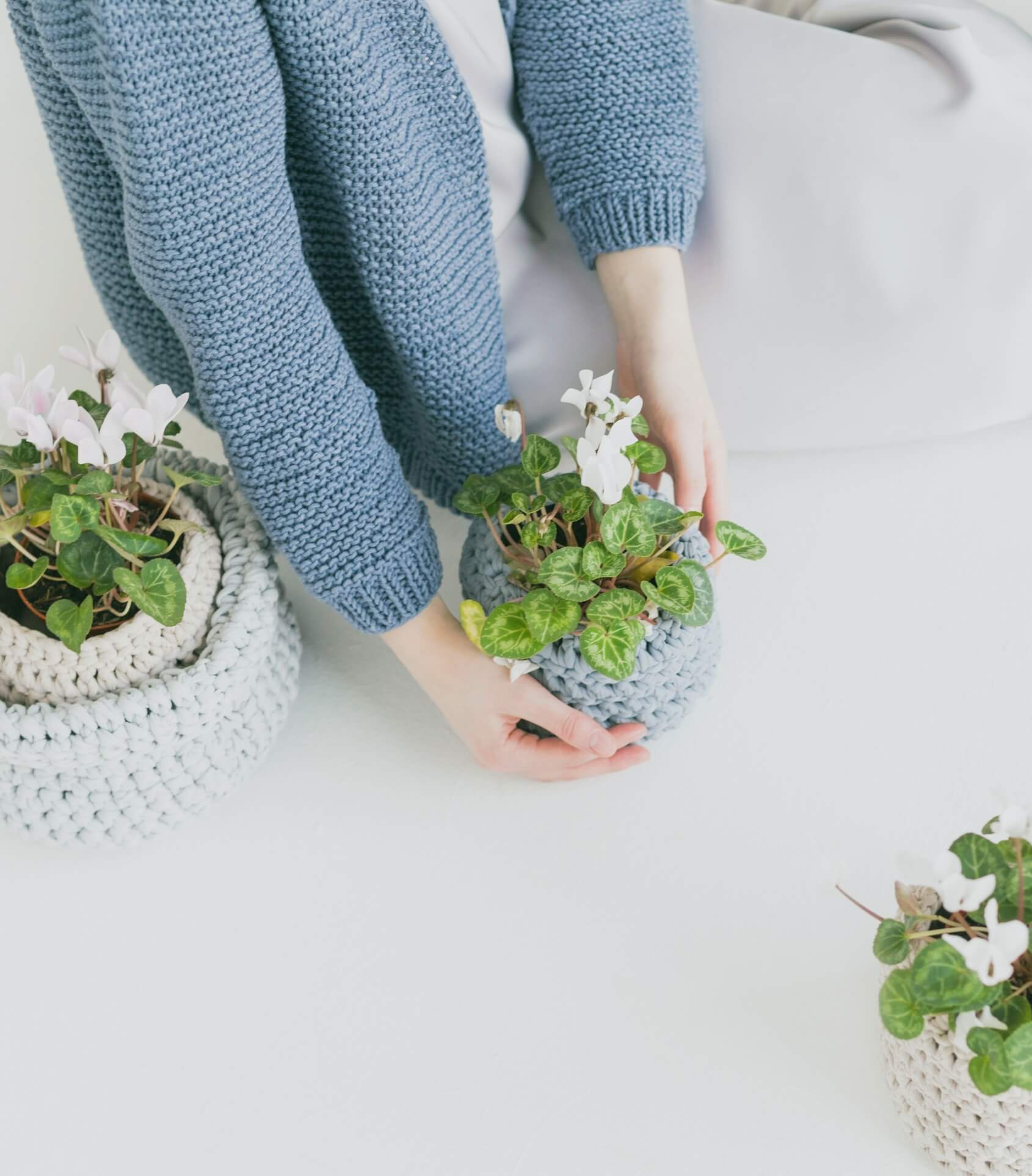 98212240 image 7@2x.jpg